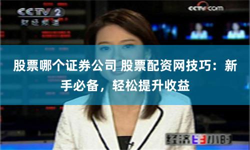 股票哪个证券公司 股票配资网技巧：新手必备，轻松提升收益