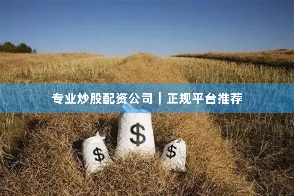 专业炒股配资公司｜正规平台推荐